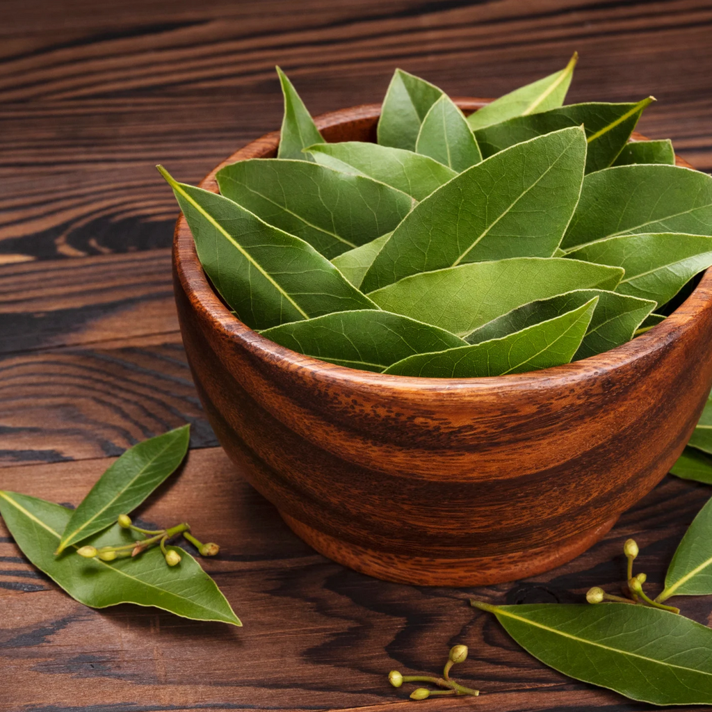 BAY LEAVES