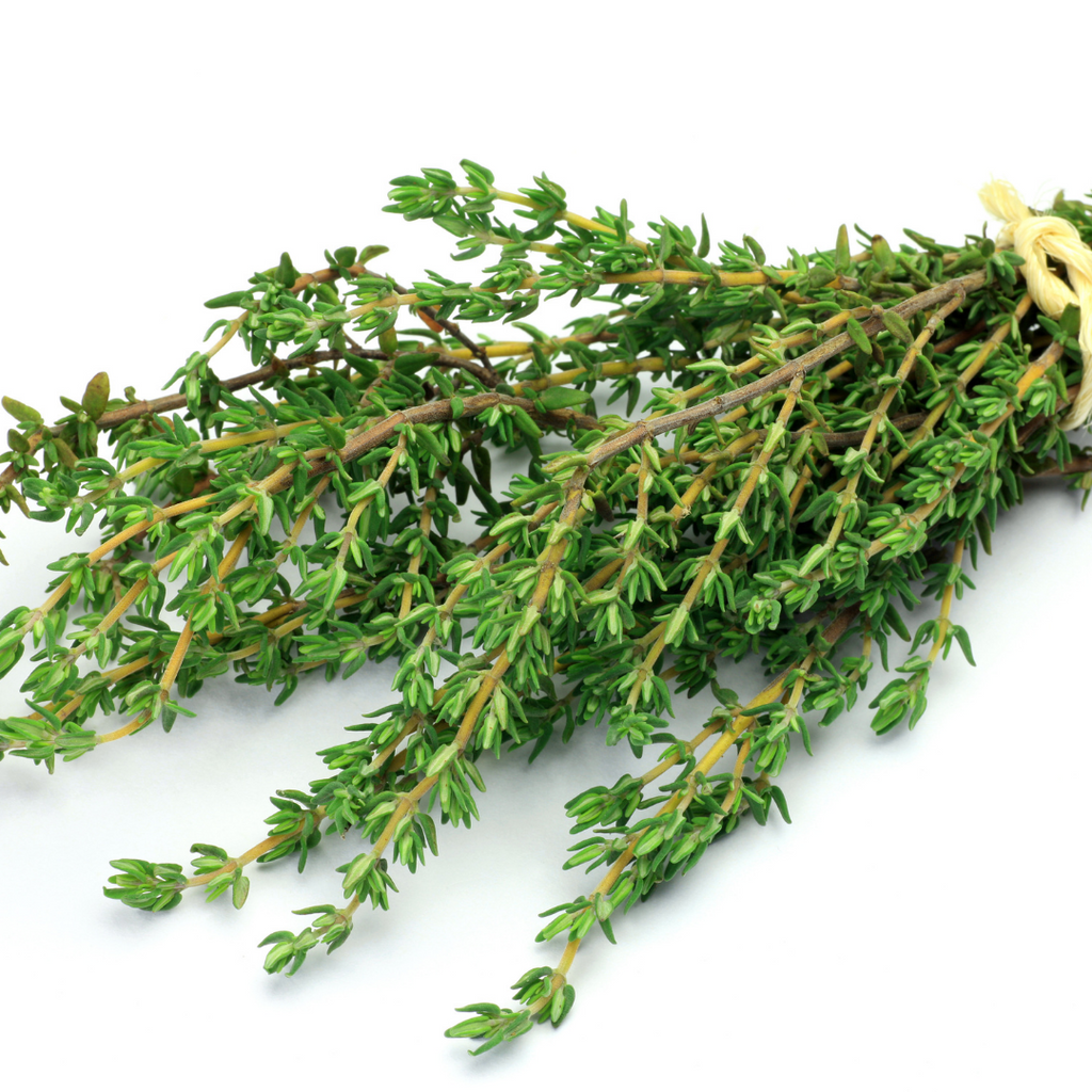 DRY THYME